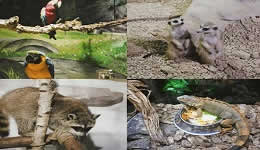 First Indoor Zoo open in Hangzhou