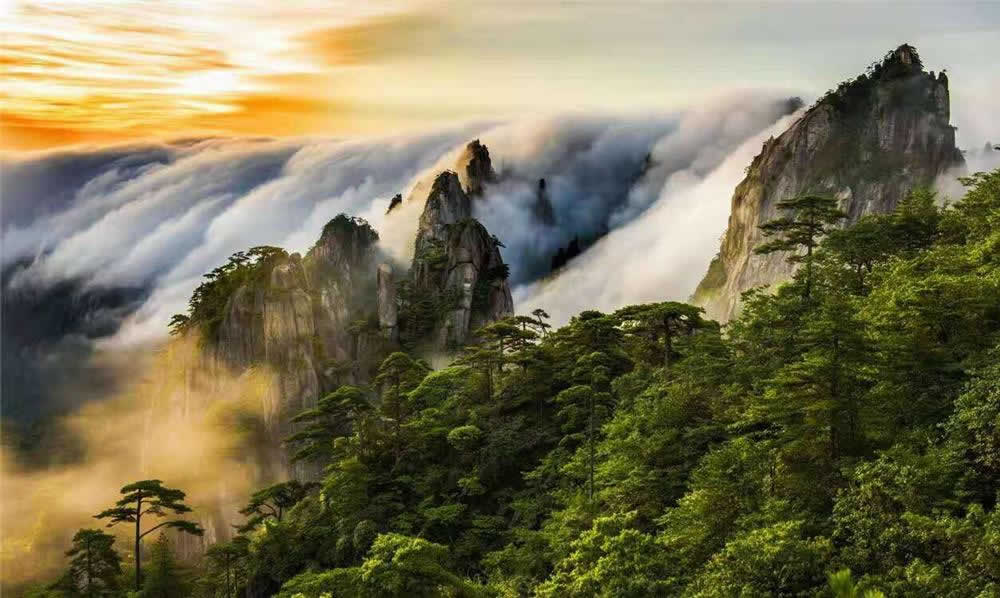 Huangshan Vacation Packages: 3 Days Mt.Huangshan Essential Highlights Tour (Overnight on the Summit)