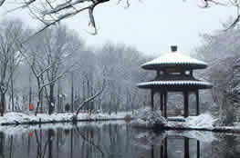 Recommended Hangzhou one day tour in Winter (Dec. - Feb.)