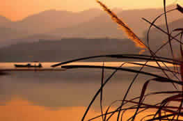 Recommended Hangzhou Day Trip in Autumn (Sep.-Nov.)