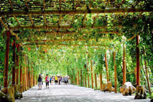 7-Day Urumqi Kashgar Turpan Tour: A Journey Through Xinjiang’s Silk Road Legacy
