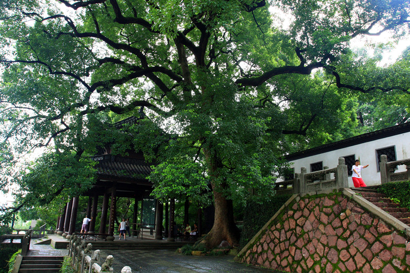 Hangzhou_Solitary_Hill_5.jpg