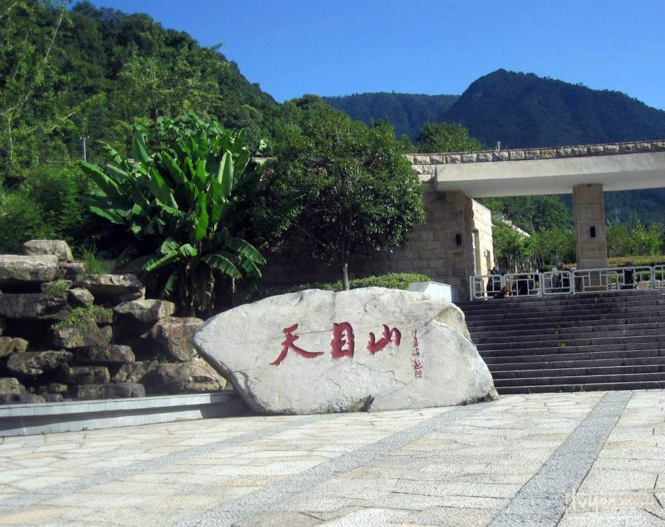 Tianmu_Mountain_1.jpg