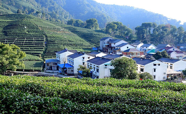 Meijiawu-tea-culture-village