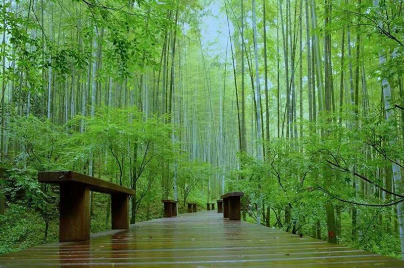 bamboo_lined_path_at_yunqi_08.jpg