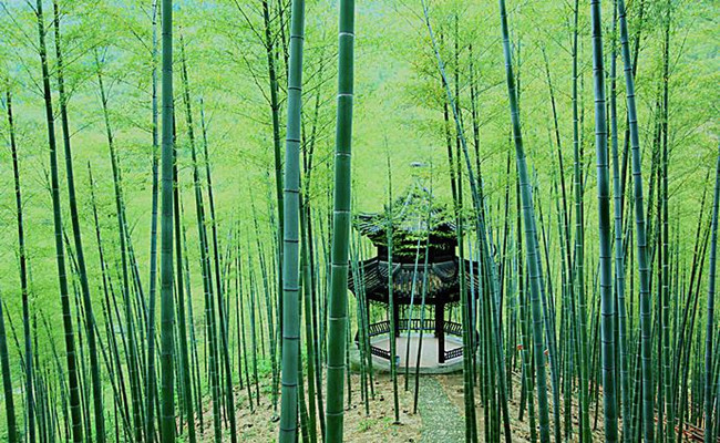 Anji_Bamboo_Expo_Park_02.jpg