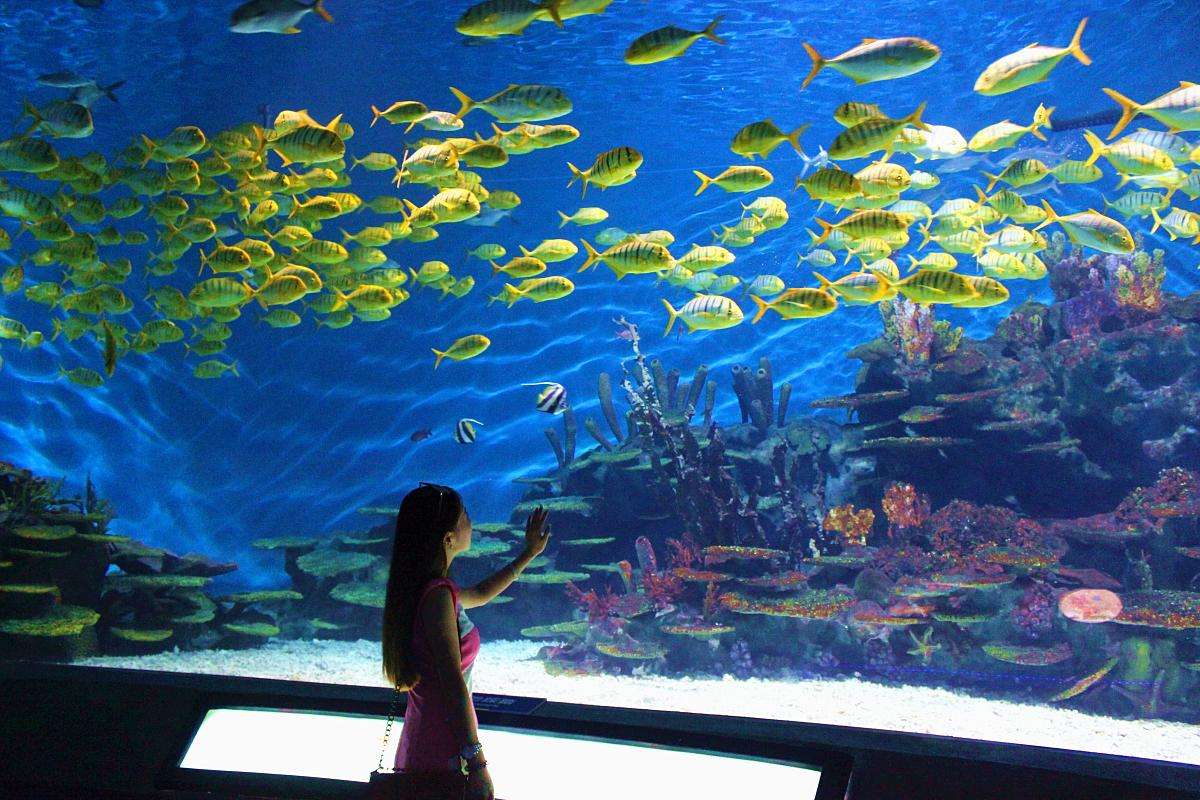 12_Days_Beijing_Shenyang_Changchun_Jilin_Harbin_Sightseeing_Tour_17.jpg 12_Days_Beijing_Shenyang_Changchun_Jilin_Harbin_Sightseeing_Tour_17.jpg