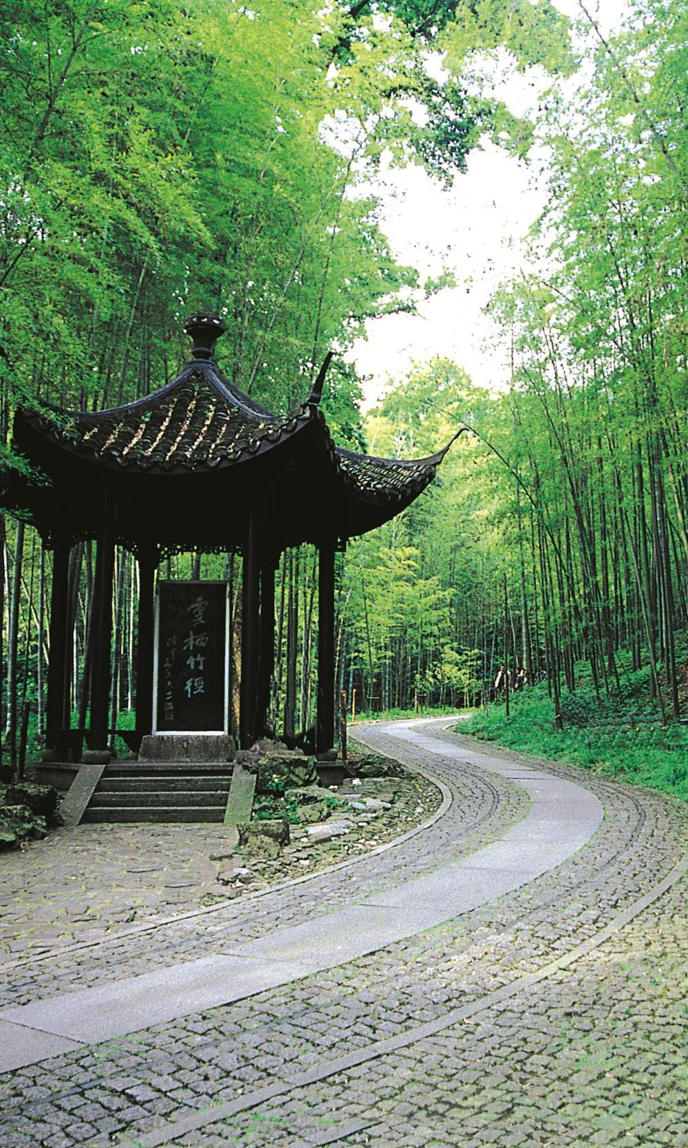 west_lake_hangzhou_tour_08.jpg