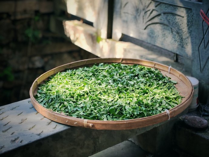 Meijiawu-Tea-Plantation-Hangzhou Meijiawu-Tea-Plantation-Hangzhou