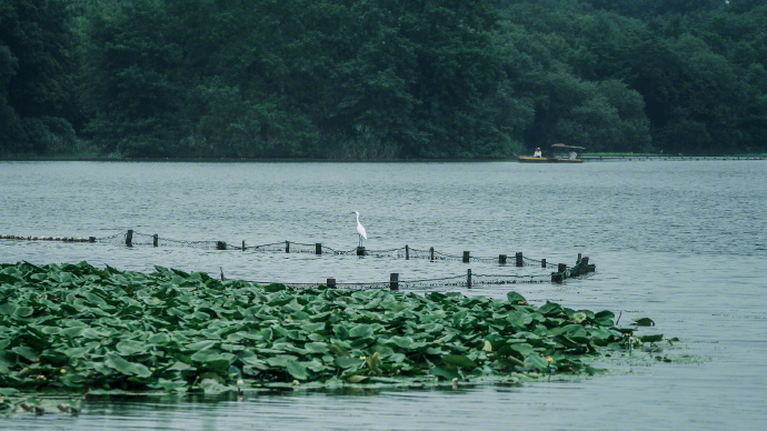 West-Lake West-Lake