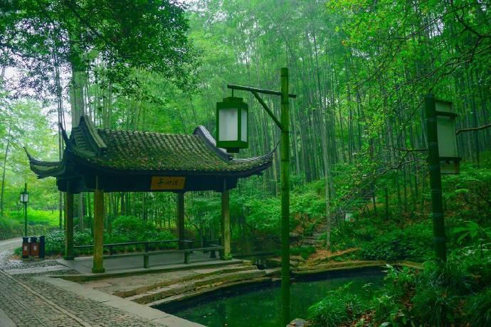 Bamboo-lined-Path-at-Yunqi Bamboo-lined-Path-at-Yunqi