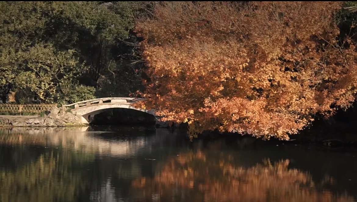 Viewing-Fish-at-the-Flower-Pond Viewing-Fish-at-the-Flower-Pond