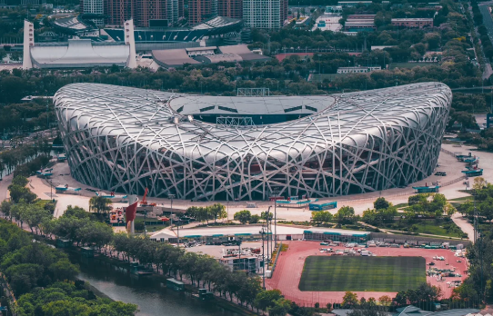 Birds-Nest Birds-Nest