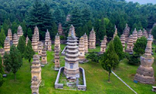 Pagoda-Forest Pagoda-Forest