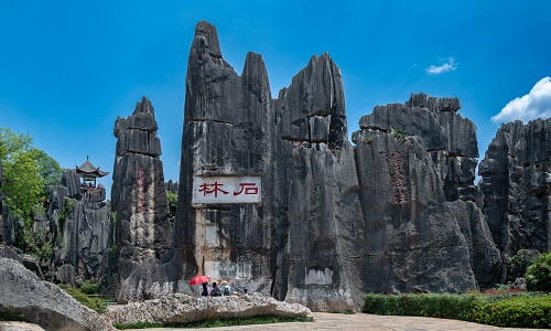Stone-Forest Stone-Forest