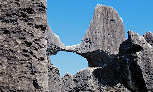 Stone-Forest Stone-Forest