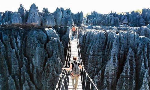 Stone-Forest Stone-Forest