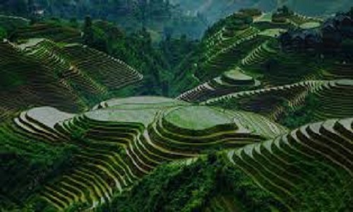 Longji-Terraces-Guilin Longji-Terraces-Guilin