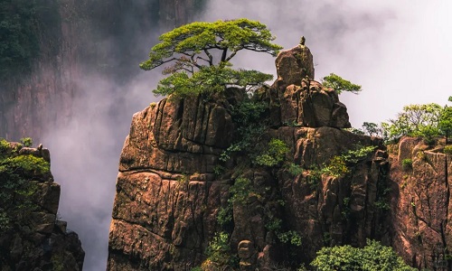 canyon-west-sea canyon-west-sea