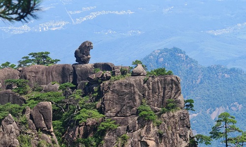 huangshan-monkey-watching-the-sea huangshan-monkey-watching-the-sea