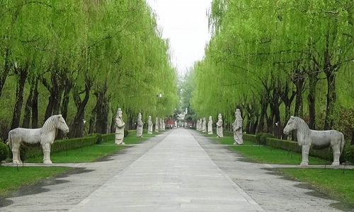 Sacred-Way Sacred-Way