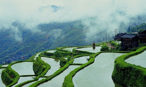 Tang'an-Dong-Village Tang'an-Dong-Village