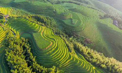Longji-Terraces Longji-Terraces