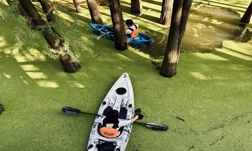 Hangzhou-Qingshan-Lake-National-Forest-Park-Boat Hangzhou-Qingshan-Lake-National-Forest-Park-Boat