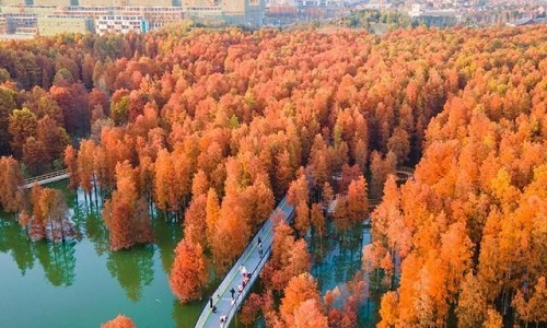 Hangzhou-Qingshan-Lake-National-Forest-Park Hangzhou-Qingshan-Lake-National-Forest-Park