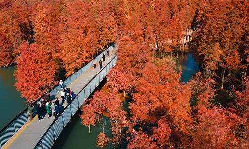 Qingshan-Lake-National-Forest-Park-Hangzhou Qingshan-Lake-National-Forest-Park-Hangzhou