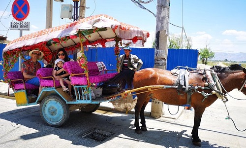 Erhai-Lake-Horse-Cart-Ride-in-Dali Erhai-Lake-Horse-Cart-Ride-in-Dali