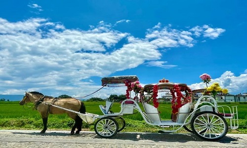 Erhai-Lake-Horse-Cart-Ride-in-Dali-Yunnan Erhai-Lake-Horse-Cart-Ride-in-Dali-Yunnan
