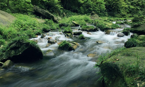 Golden-Whip-Stream-Zhangjiajie Golden-Whip-Stream-Zhangjiajie