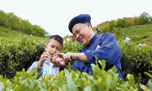 Vegetable-Picking-in-a-Farm-Garden2 Vegetable-Picking-in-a-Farm-Garden2