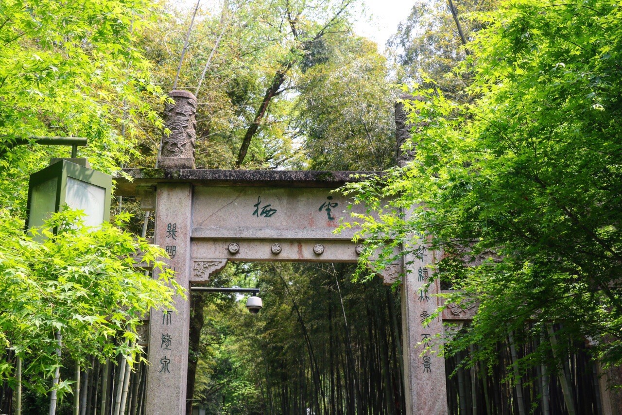 Bamboo-Lined-Path-at-Yunqi3 Bamboo-Lined-Path-at-Yunqi3