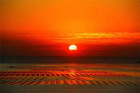 Beiqi-Mudflat3 Beiqi-Mudflat3