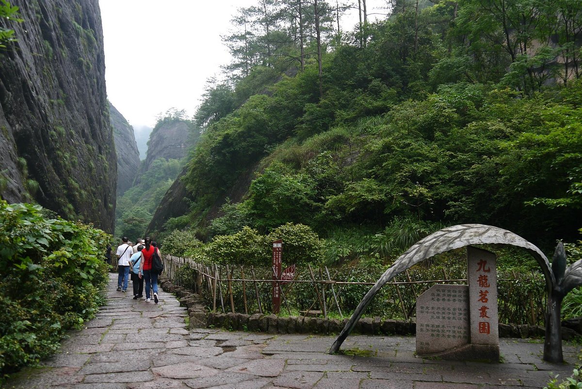 Dahongpao-Scenic-Area Dahongpao-Scenic-Area