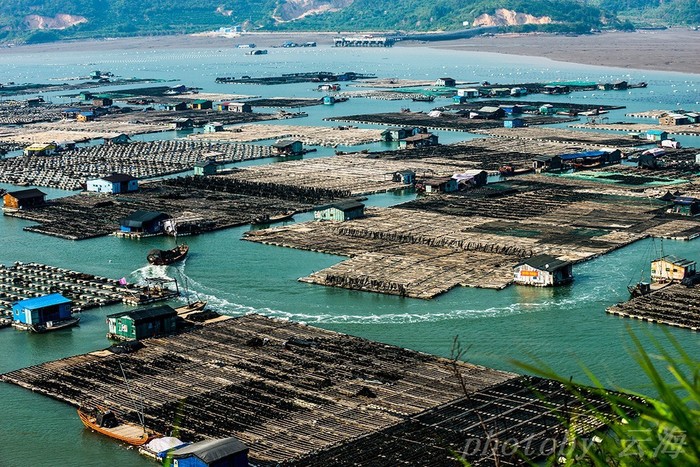 Dong-an-Fishing-Rafts Dong-an-Fishing-Rafts