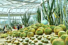 Botanical-Garden2
