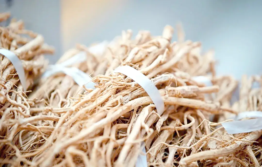 Milk-Root2 Milk-Root2