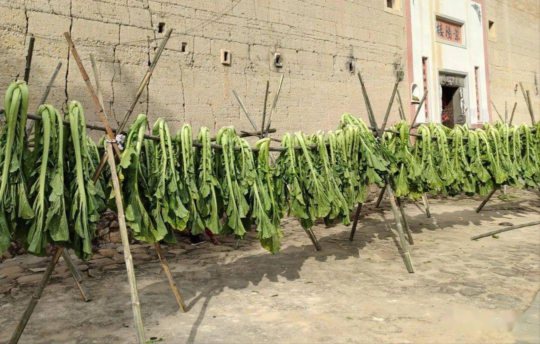Yongding-Dried-Vegetables3 Yongding-Dried-Vegetables3