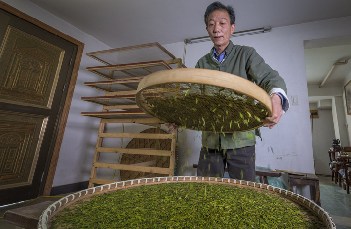 Longjing-Tea2 Longjing-Tea2