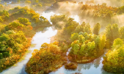 Xixi-National-Wetland-Park-1 Xixi-National-Wetland-Park-1